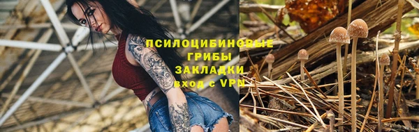 соль ск Новокубанск