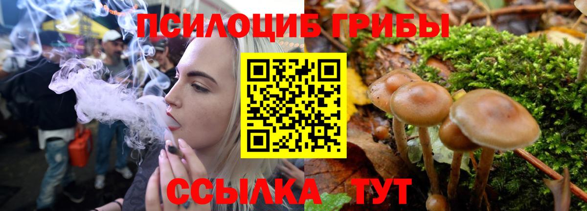 Карталы  Псилоцибиновые грибы GOLDEN TEACHER  Вход с VPN  Псилоцибиновые грибы Psilocybine cubensis 